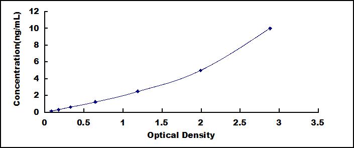 36407