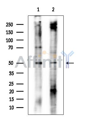 Валидация Affinity DF15920 - 12434