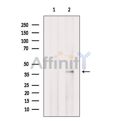 Валидация Affinity DF12168 - 6370
