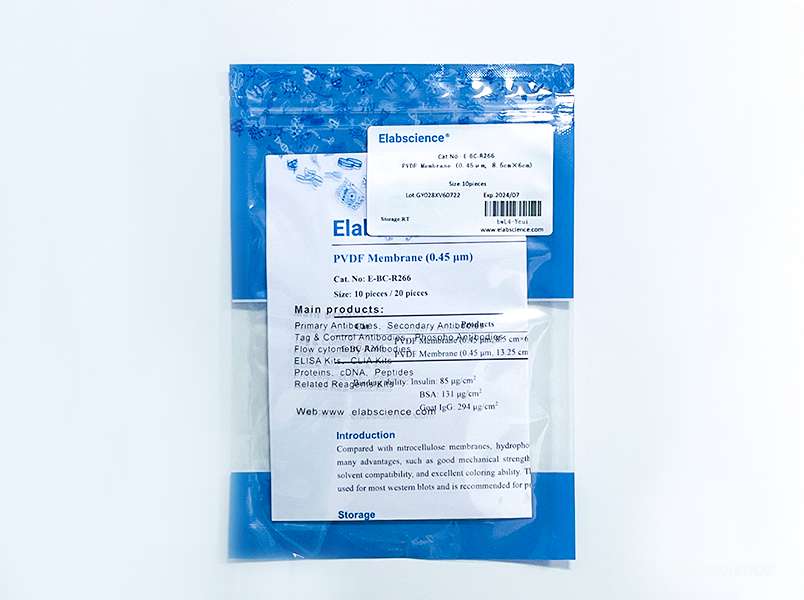 Фото Elabscience E-BC-R266