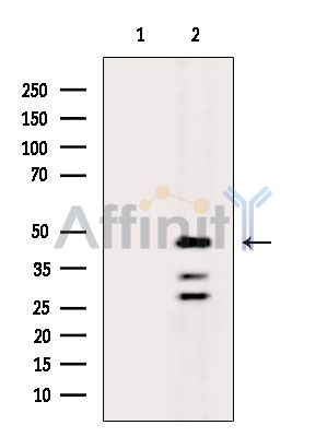 Валидация Affinity DF15421 - 11751