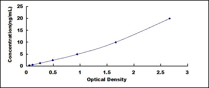 42052