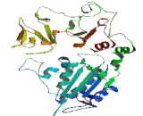 PIF1 5"-To-3" DNA Helicase Homolog (PIF1)