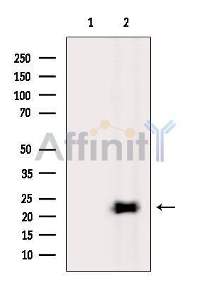 Валидация Affinity DF13885 - 9614