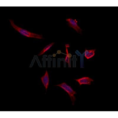 Валидация Affinity DF12210 - 6476