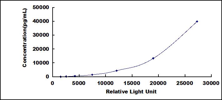 49662