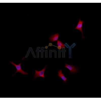 Валидация Affinity DF4368 - 15837