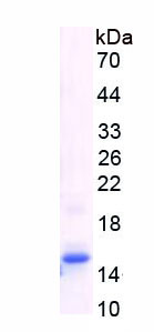 46825