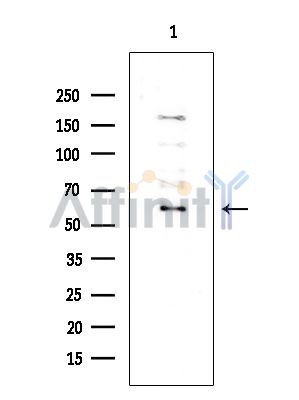 Валидация Affinity DF2432 - 13043