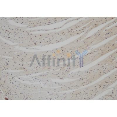 Валидация Affinity DF4477 - 16010