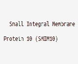 Small Integral Membrane Protein 10 (SMIM10)