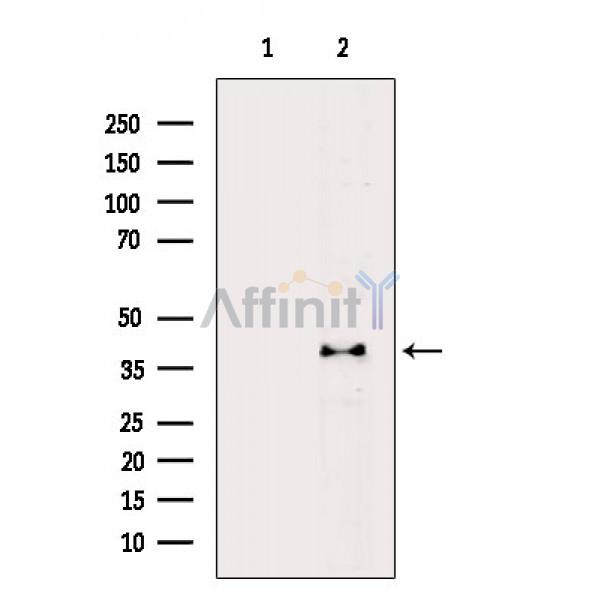 Валидация Affinity DF3200 - 14017