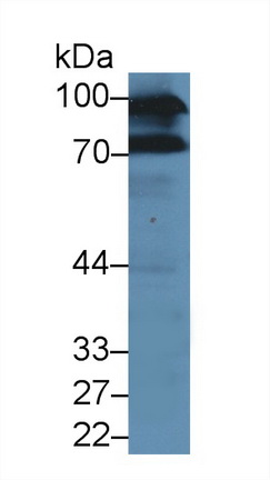 12850