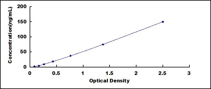 42093