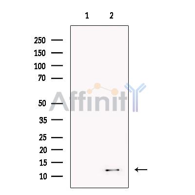 Валидация Affinity DF13703 - 9311