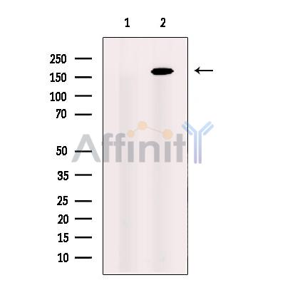 Валидация Affinity DF12253 - 6573