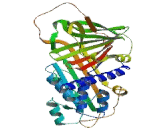 Alpha-2-Plasmin Inhibitor (a2PI)
