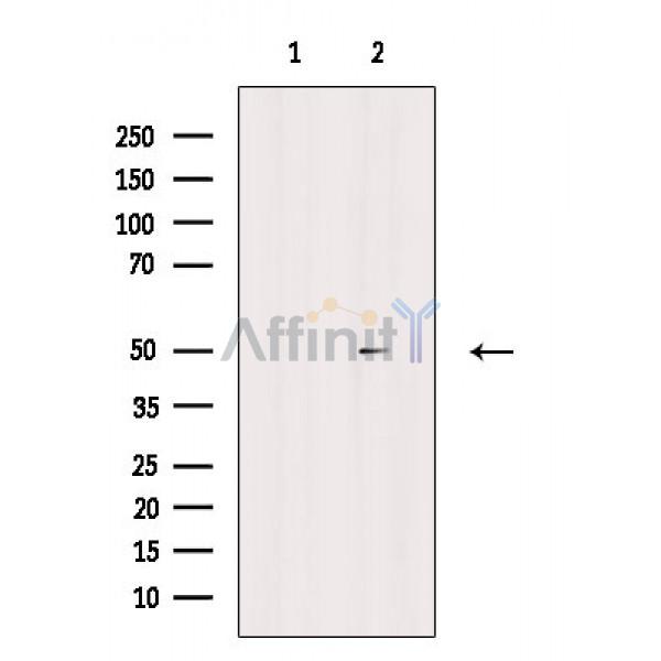 Валидация Affinity AF6866 - 4082