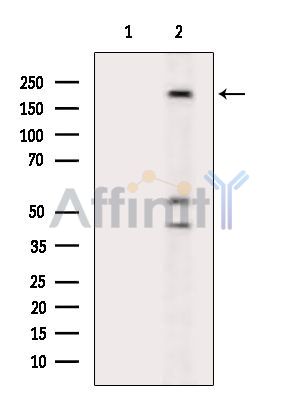 Валидация Affinity DF15688 - 12147
