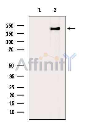 Валидация Affinity DF14270 - 10133