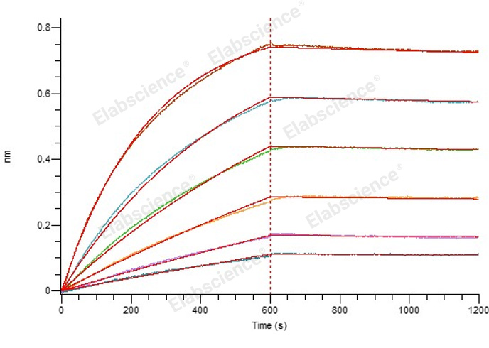Валидация Elabscience PKSV030478(6204)