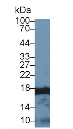 10298
