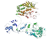 Coiled Coil Domain Containing Protein 129 (CCDC129)