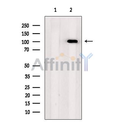 Валидация Affinity DF13719 - 9345
