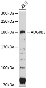Валидация Elabscience E-AB-90315