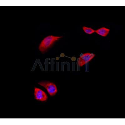 Валидация Affinity DF3712 - 14760