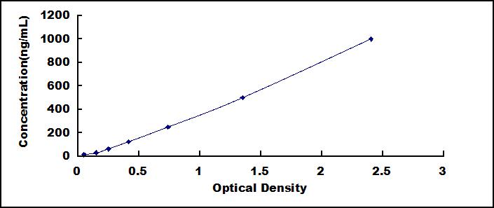 34806