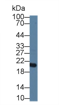 14040