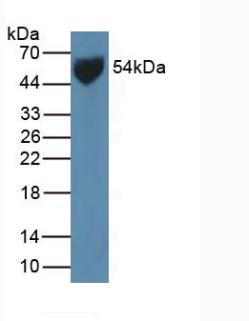 5822