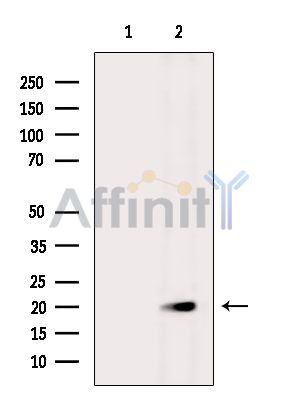 Валидация Affinity DF14399 - 10328