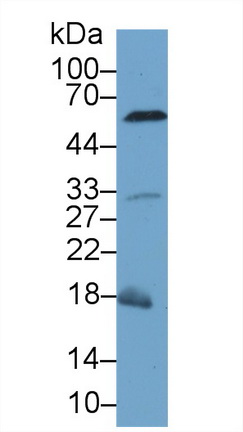 10237