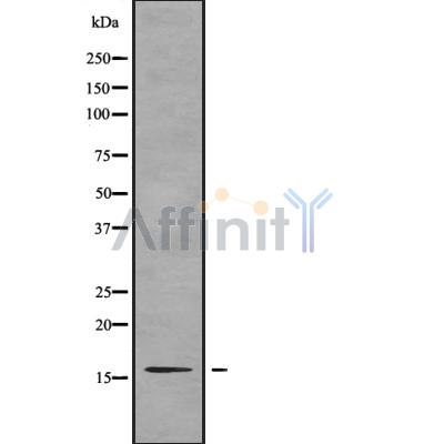 Валидация Affinity DF9713 - 22502