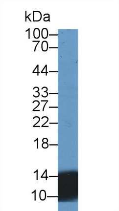 9992