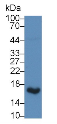 62737