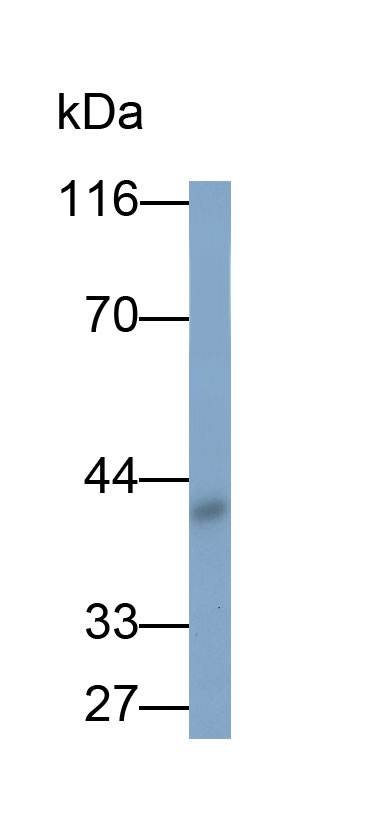 32128