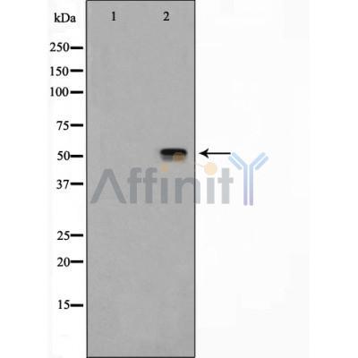 Валидация Affinity DF4996 - 16853