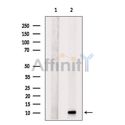 Валидация Affinity DF13263 - 8348