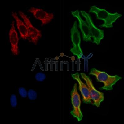 Валидация Affinity DF3657 - 14652