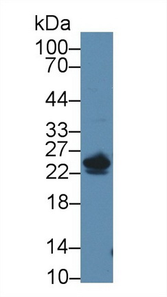 8878