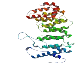 Protein Phosphatase 2, Regulatory Subunit B" Epsilon (PPP2R5e)