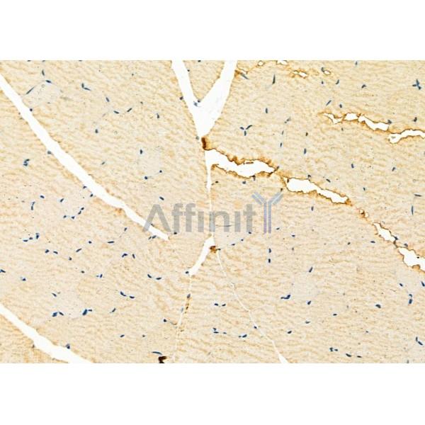 Валидация Affinity DF12428 - 6942