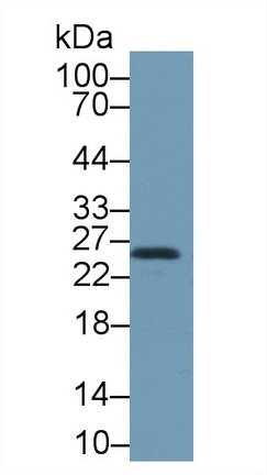 9319