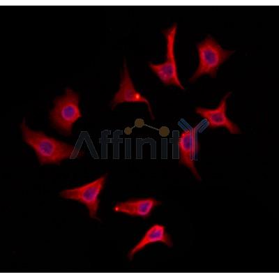 Валидация Affinity DF12157 - 6349