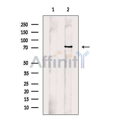 Валидация Affinity DF9516 - 22157