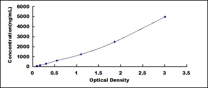 60581