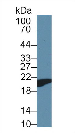 8385